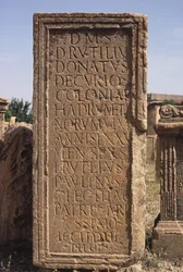 Estela